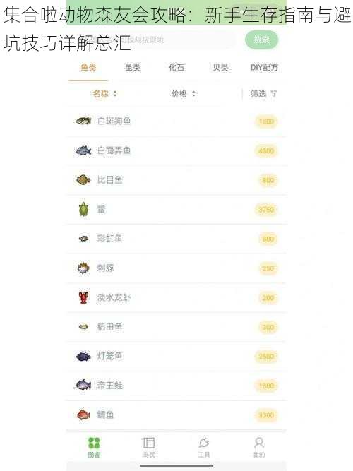集合啦动物森友会攻略:新手生存指南与避坑技巧详解总汇